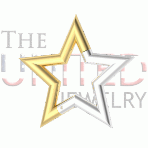 Two Tone Plating Star Shape Charms Holder, Silver Charms Holder Lock, 925 Silver Push Lock, Silver Enhancer Jewelry, Charm Holder Pendant